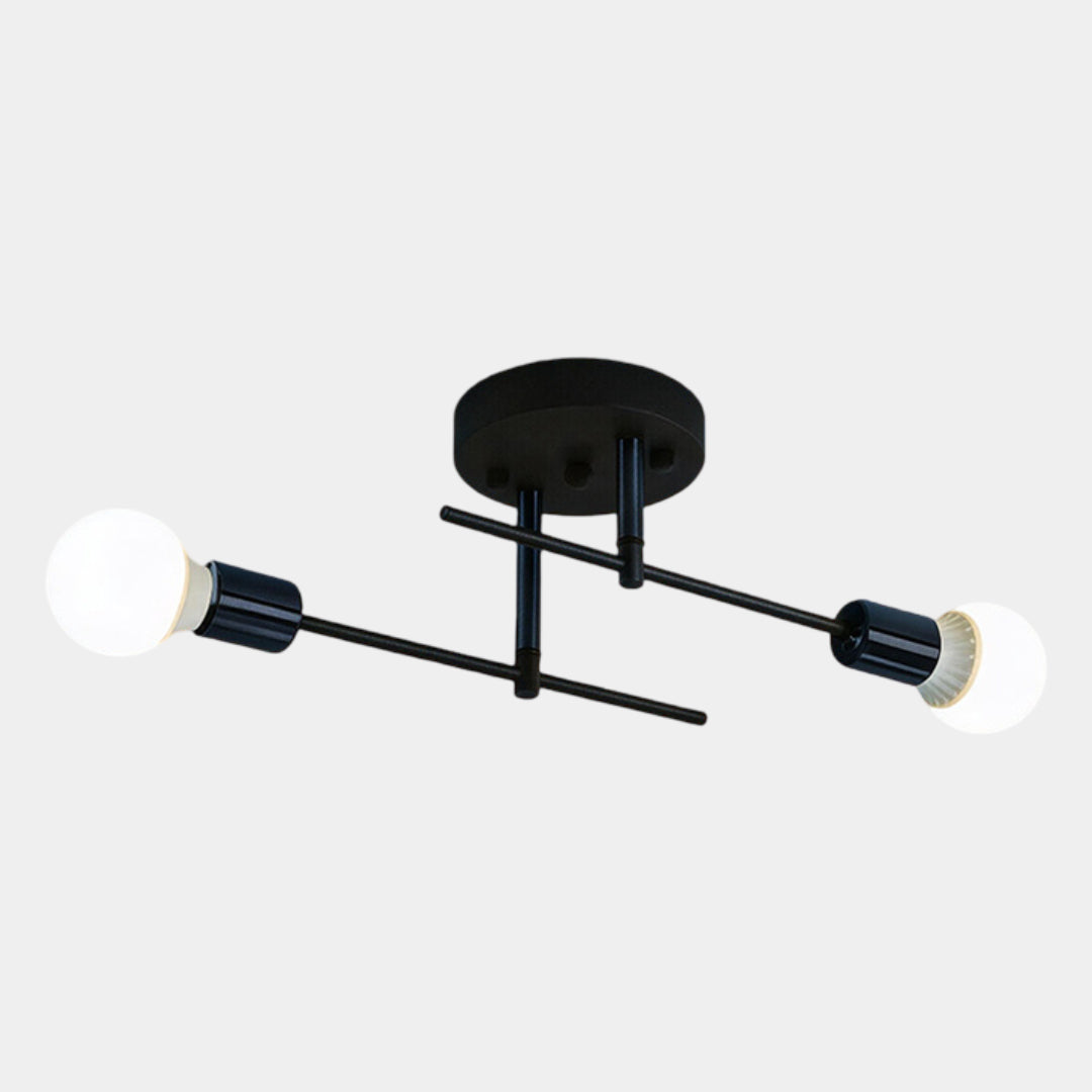 Black and Gold 2-Light Ceiling Lamp
