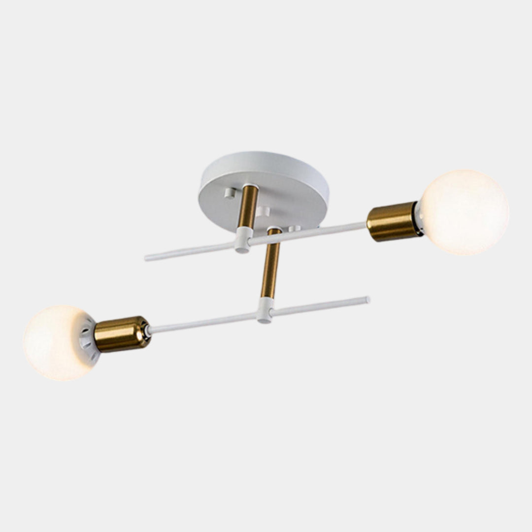 Black and Gold 2-Light Ceiling Lamp