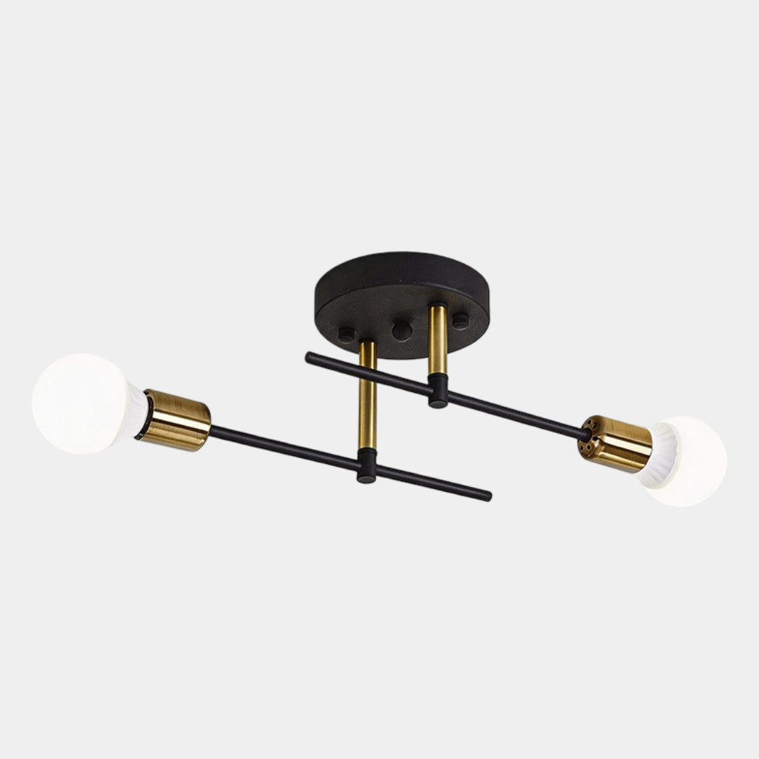 Black and Gold 2-Light Ceiling Lamp