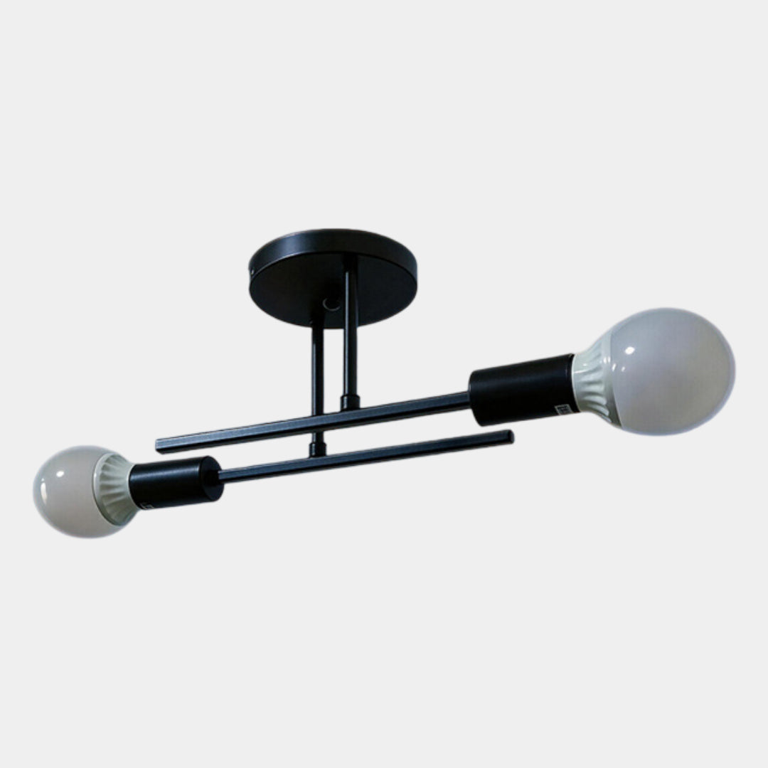 Black and Gold 2-Light Ceiling Lamp