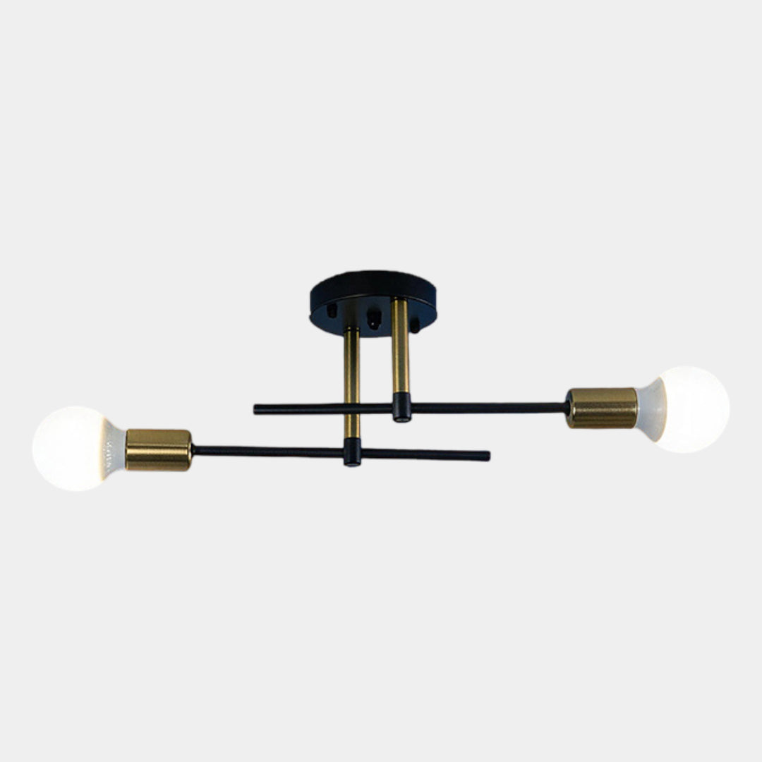 Black and Gold 2-Light Ceiling Lamp