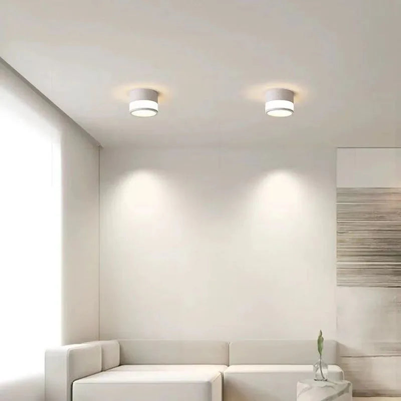 Surface Mounted LED Downlight