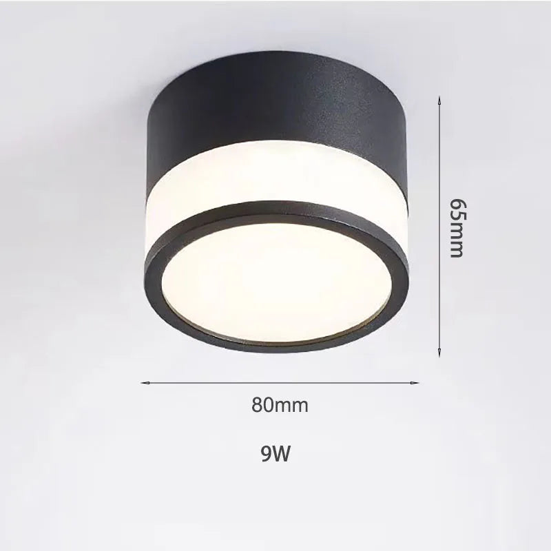 Surface Mounted LED Downlight