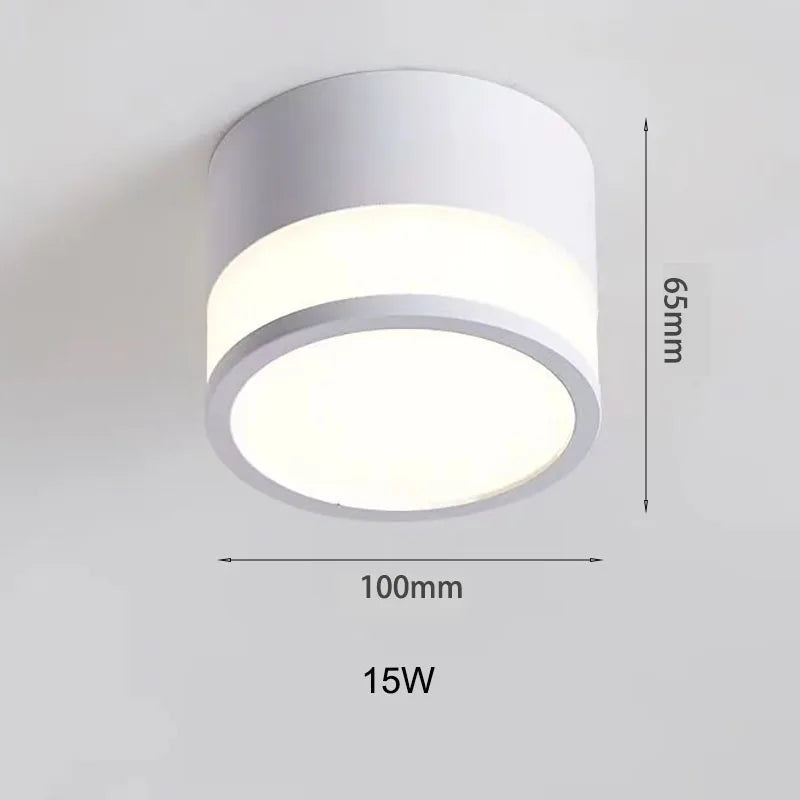 Surface Mounted LED Downlight