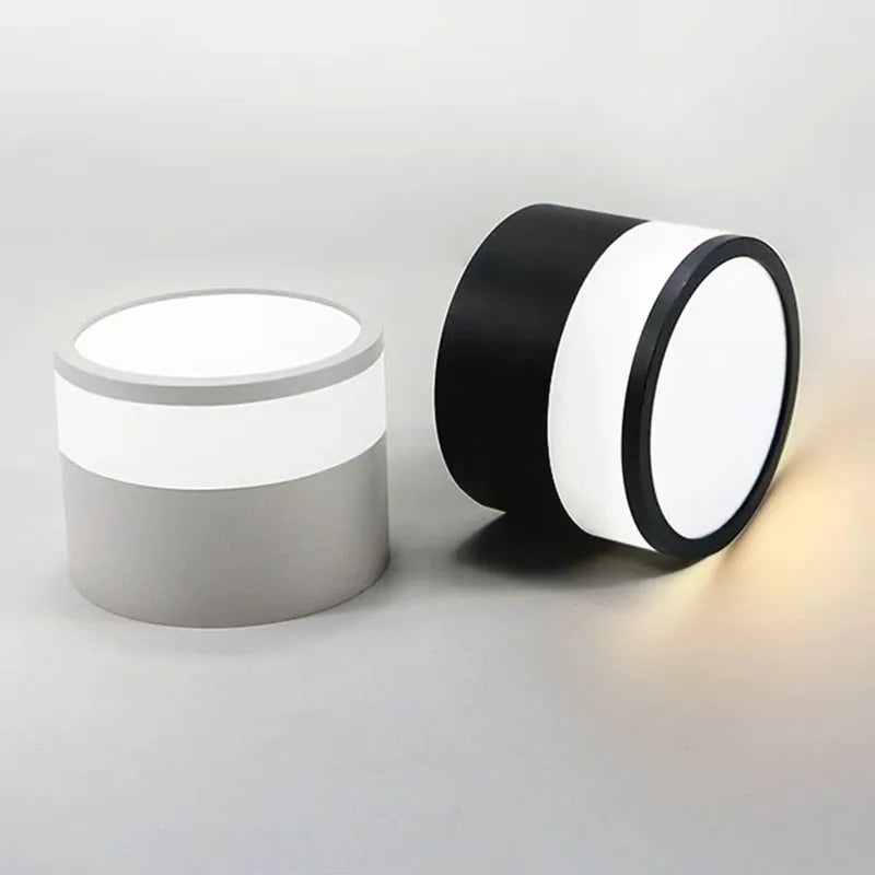 Surface Mounted LED Downlight