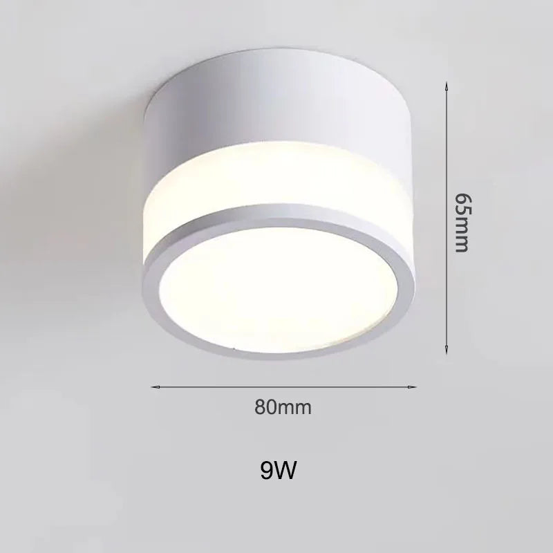 Surface Mounted LED Downlight