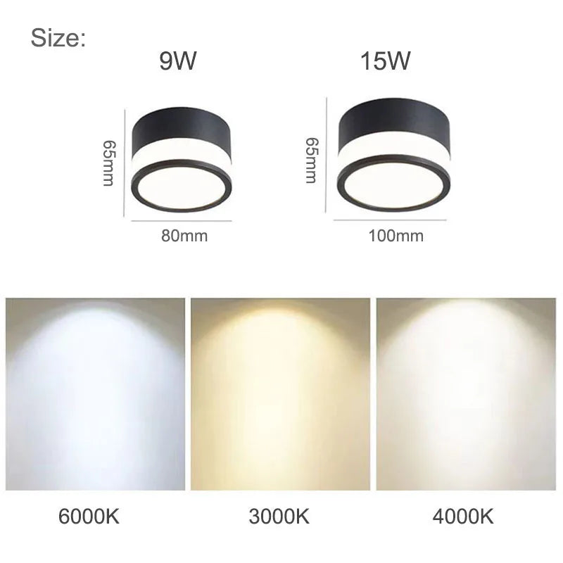 Surface Mounted LED Downlight