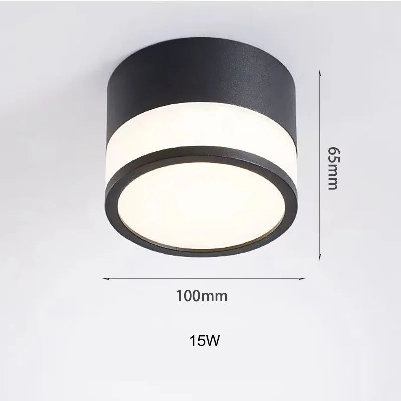 Surface Mounted LED Downlight