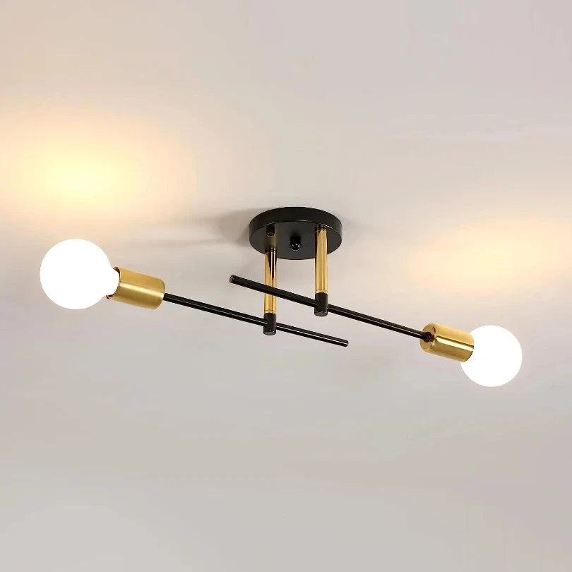 Black and Gold 2-Light Ceiling Lamp