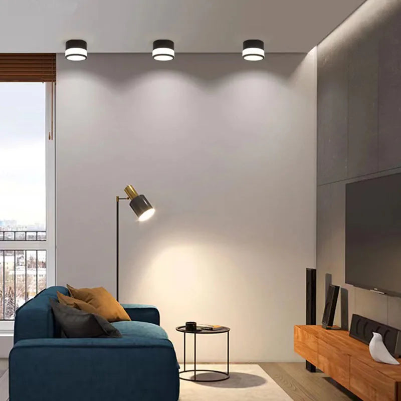Surface Mounted LED Downlight